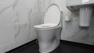 Guest Sparks Debate Over Expecting Air Freshener in Friends’ Bathrooms
