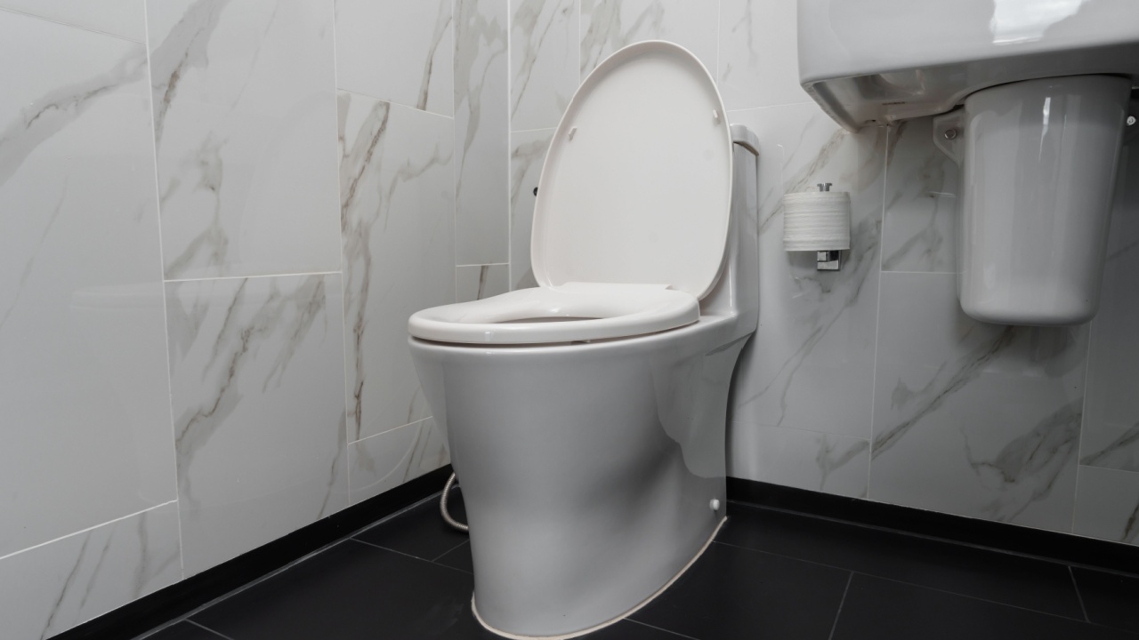 Toilet bowl in the bathroom