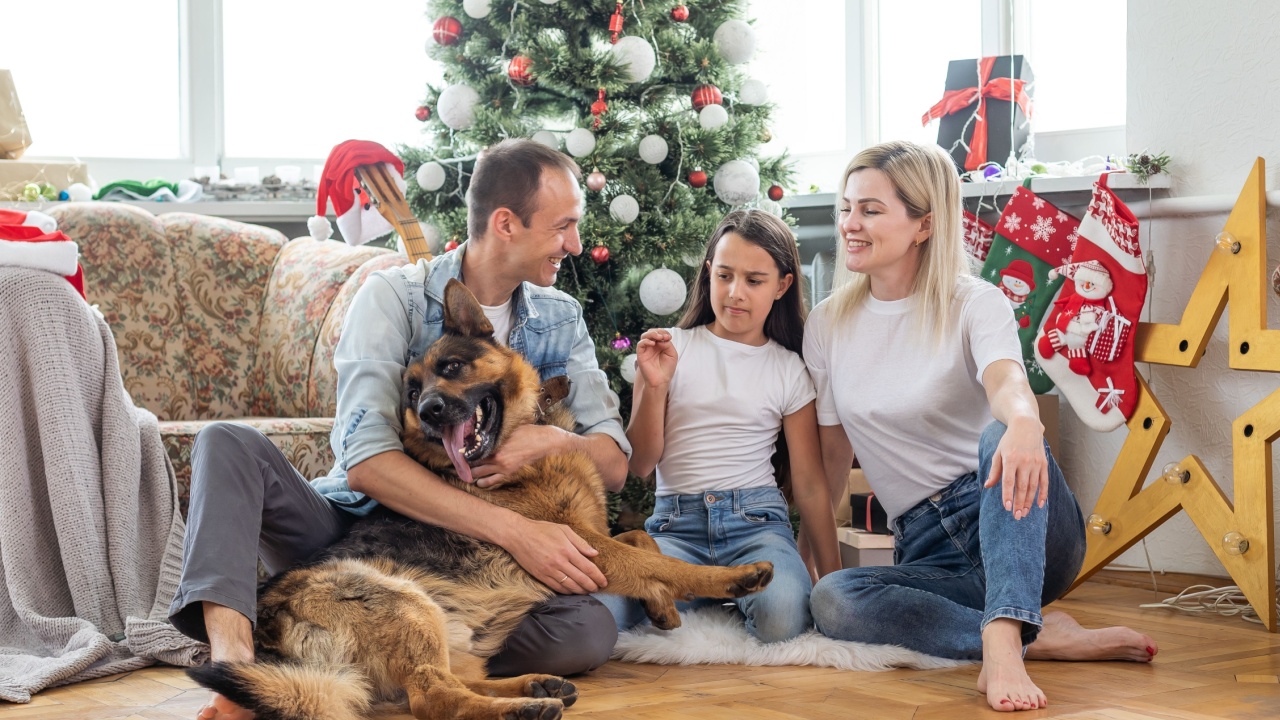 Merry Christmas and Happy New Year. Happy family with dog are waiting for the New Yearwhile sitting near beautiful Christmas tree at home.