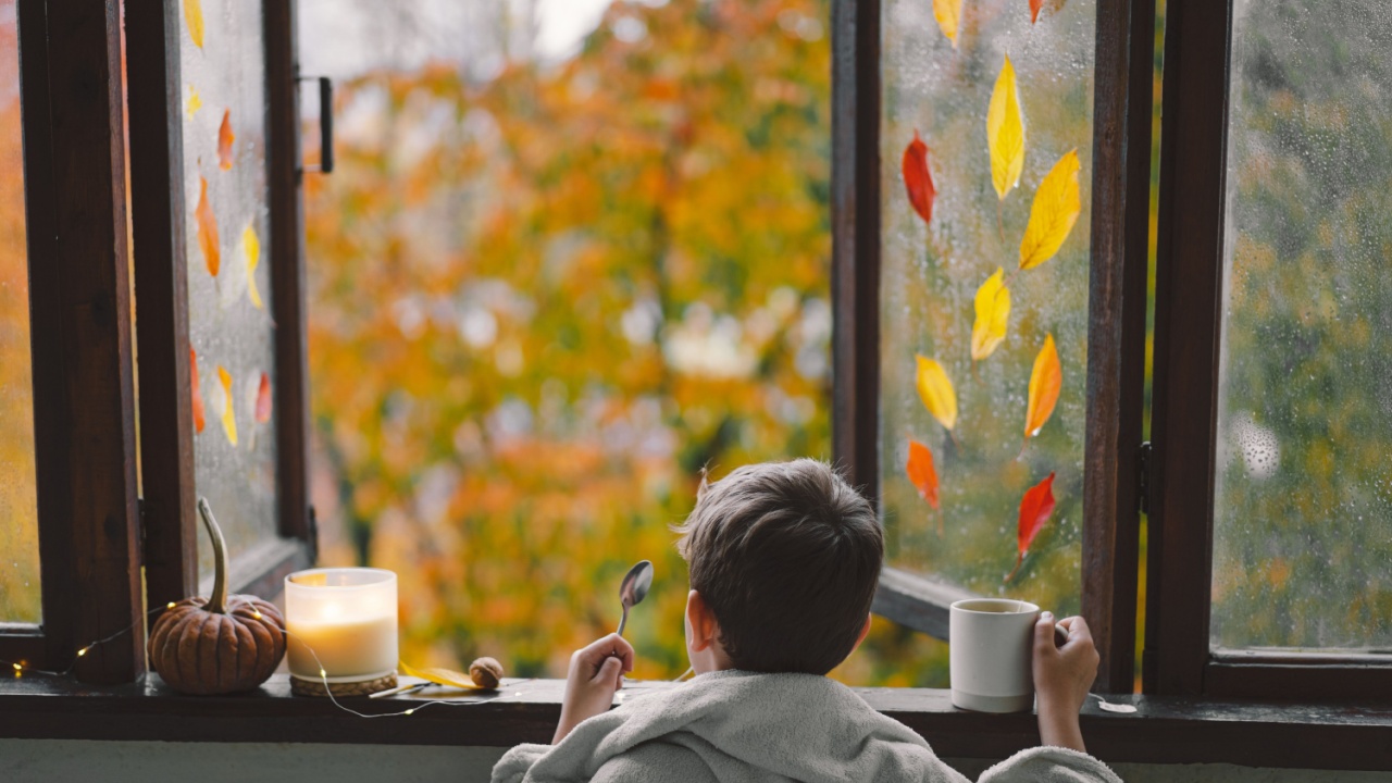 A cute boy wrapped in a blanket drink hot tea and looks out the open window at the wonderful autumn nature. Autumn home decor. Cozy fall mood. Thanksgiving. Halloween.