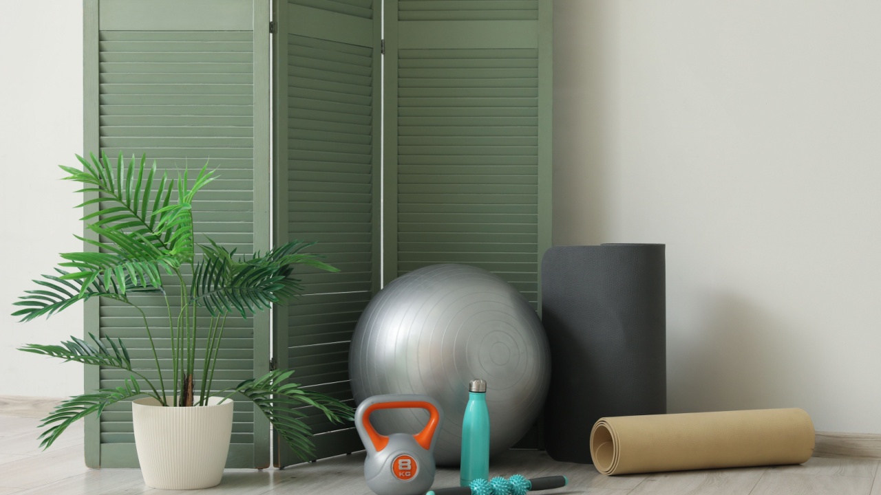 Set of sports equipment, houseplant and folding screen near light wall
