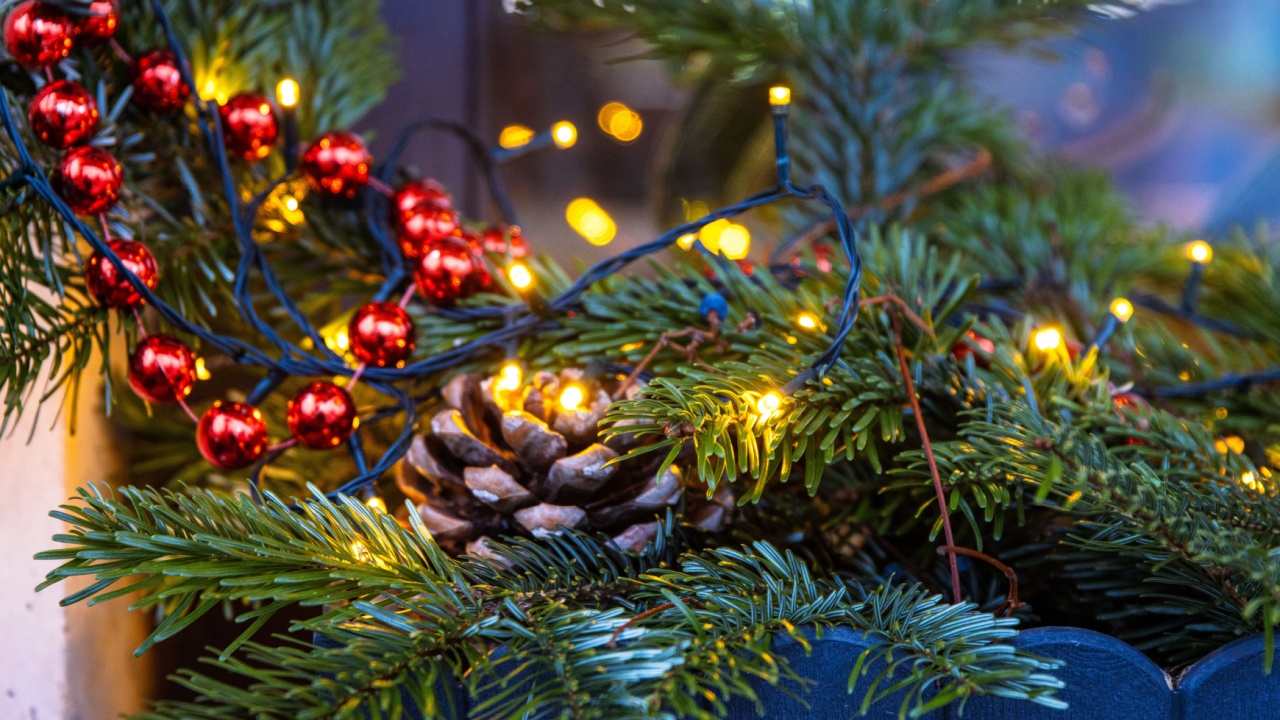 Festive Christmas decoration with pinecones, evergreen branches, red ornaments, and energy-saving LED lights arranged in a rustic blue wooden planter.