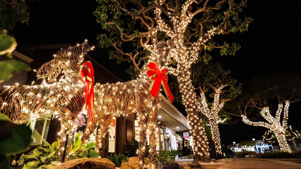 A low angle shot of decorated deers and trees with Christmas lights in Seaside California