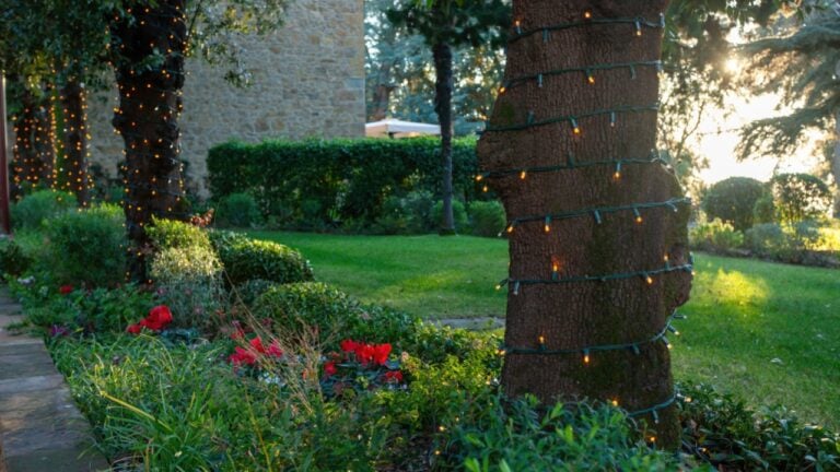String lights illuminate trees at sunset in a beautiful garden, creating a magical and festive atmosphere