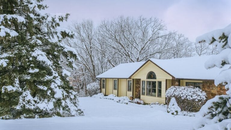View of snow covered front yard of Midwestern suburban house after snowfall; snow covered large spruces on both sides