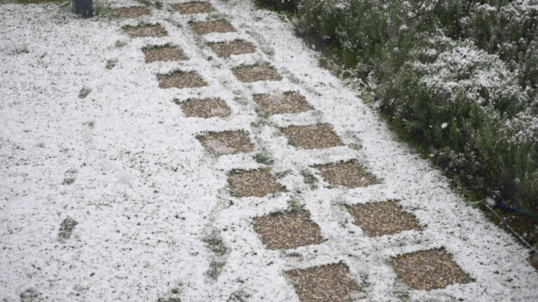 Snow covers a garden path in a residential area during winter