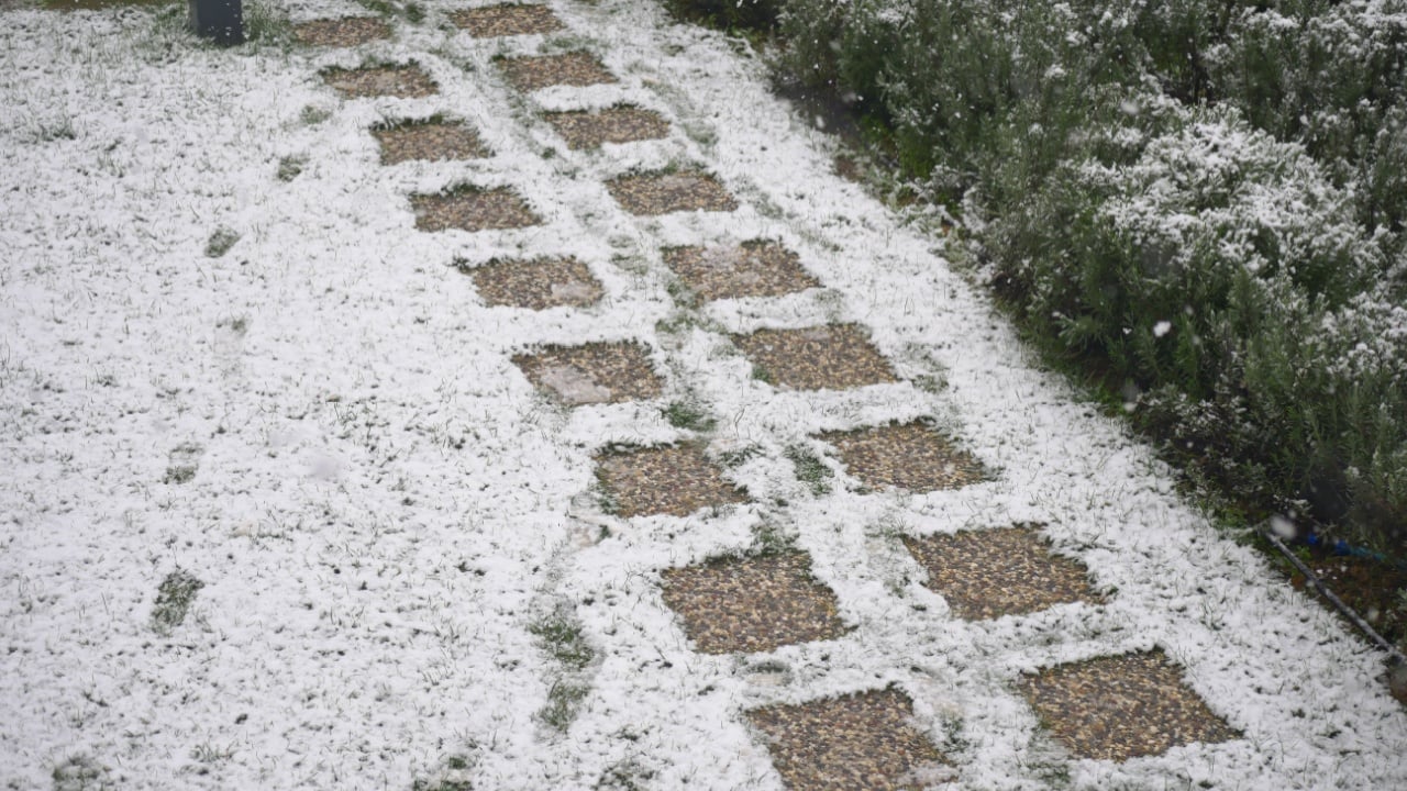 Snow covers a garden path in a residential area during winter