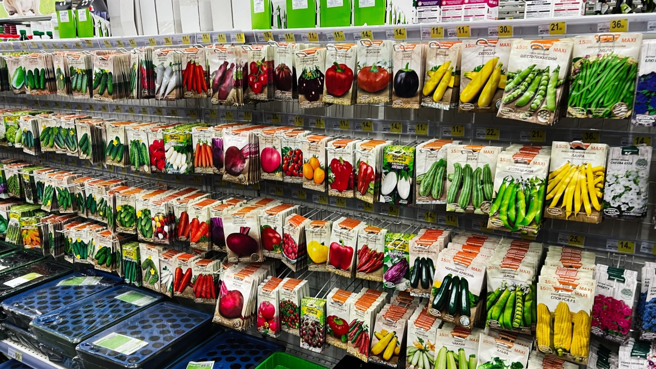 Lviv, Ukraine - February 16, 2025: Seed packets organized on store shelves showcasing a wide assortment for gardening enthusiasts.