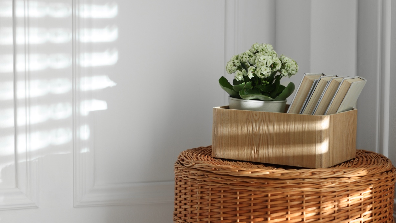 Wicker basket with wooden box, books and houseplant near white wall. Space for text