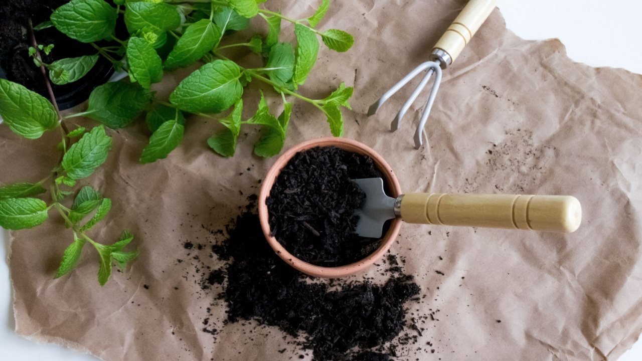 Herb gardening essentials. Fresh mint and potting soil with mini hand fork on craft paper