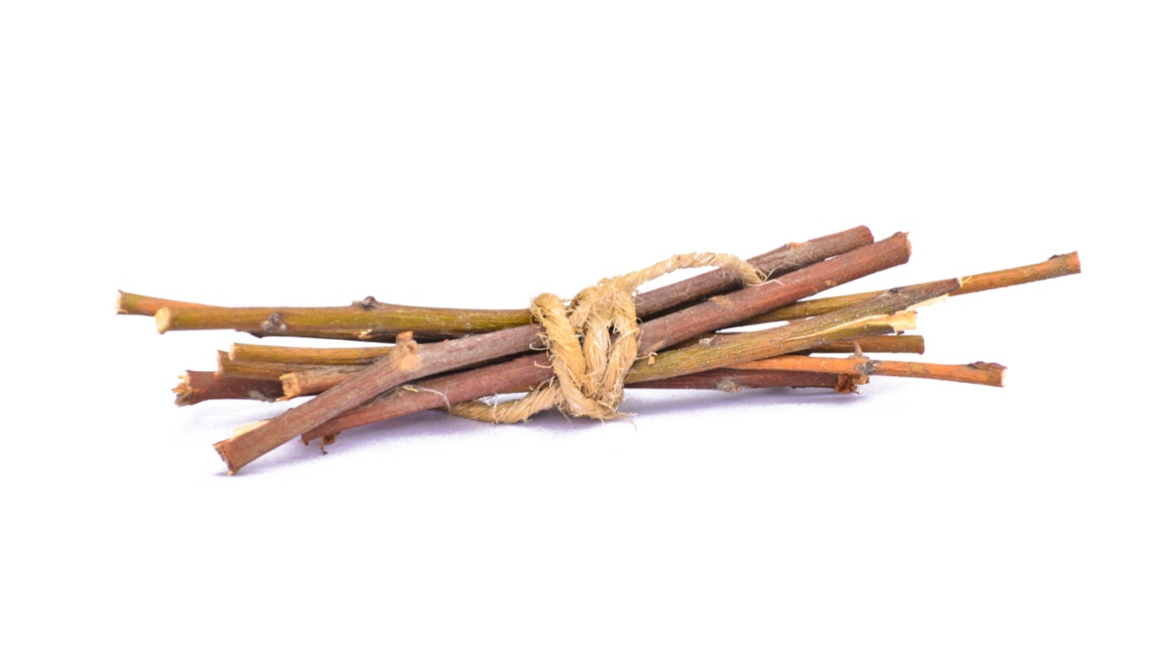 Dry branches, twigs isolated on white background, branch tied together, bundle of firewood, pieces of collected small dry tree branches or twigs, isolated in white background, different angle view