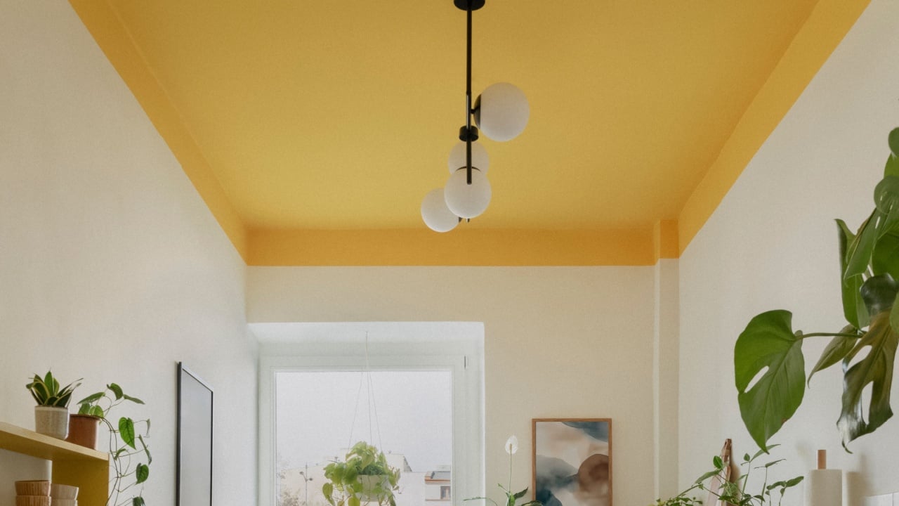 Eclectic kitchen interior with yellow ceiling, black floor and a mix of plants, textures and cheerful tones.