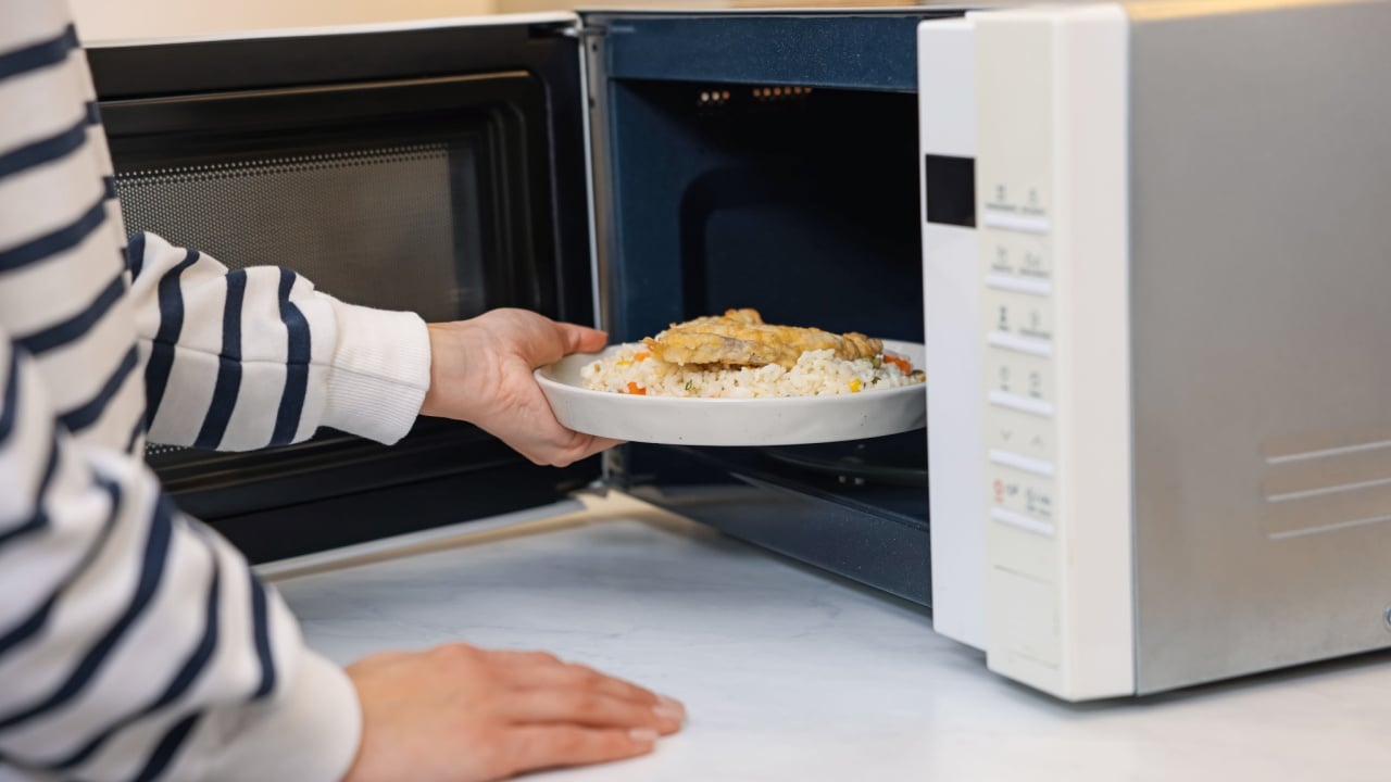 Woman putting plate with lunch into microwave indoors, closeup