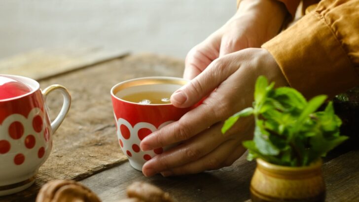 6 Steps to Starting an Indoor Tea Garden
