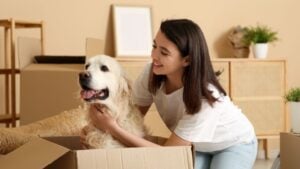 Young happy woman and cute Labrador dog with boxes on moving day at home