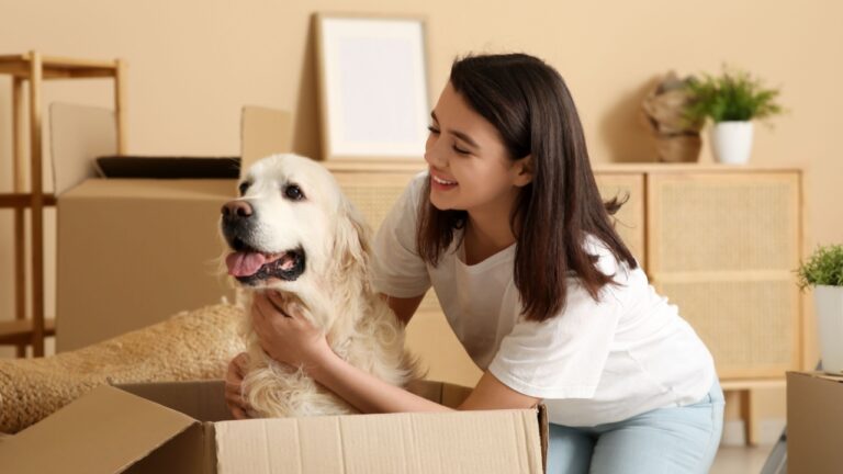 Young happy woman and cute Labrador dog with boxes on moving day at home