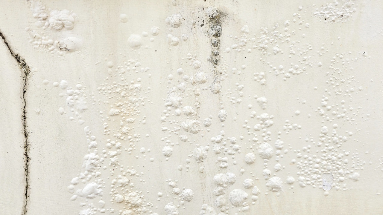 Old and dirty cement walls. White painted cement wall has long-crack with bliste marks. A blistered colored film protruding from the wall may be sac of water or air. Wall has blistered marks, crack
