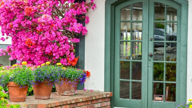 Various wooden Doors, entryways, and foyers