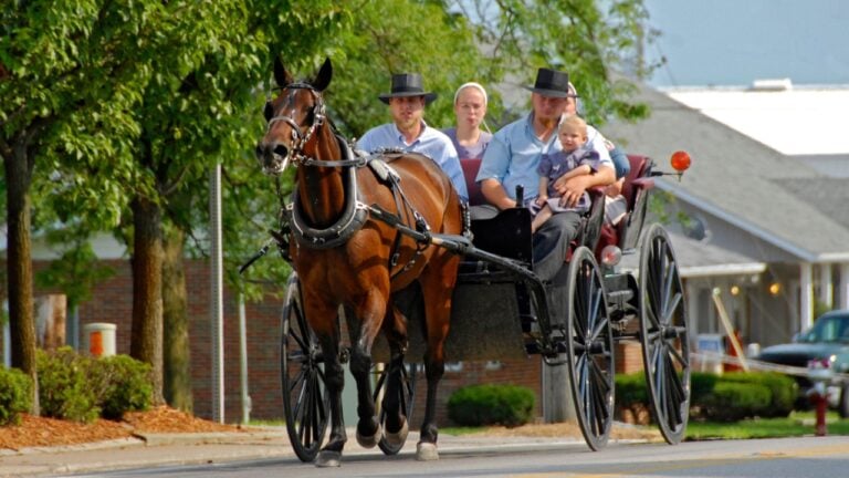 Amish Family rides in an open wagon in Michigan located in the farmland near Lexington Michigan. 08.25.25