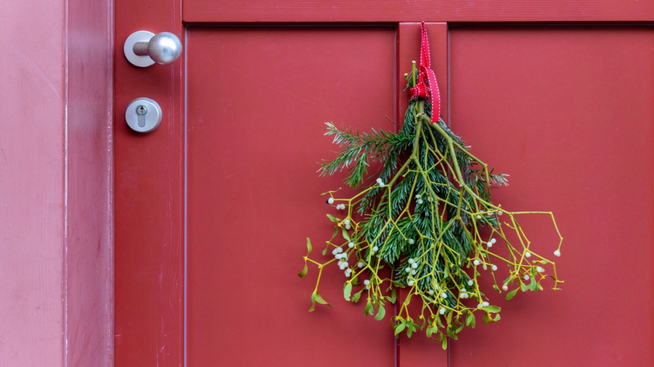Green mistletoe with small white berries hangs on a red door, tied with a bright ribbon. Simple festive decoration brings cozy winter mood and holiday warmth to a traditional home entrance