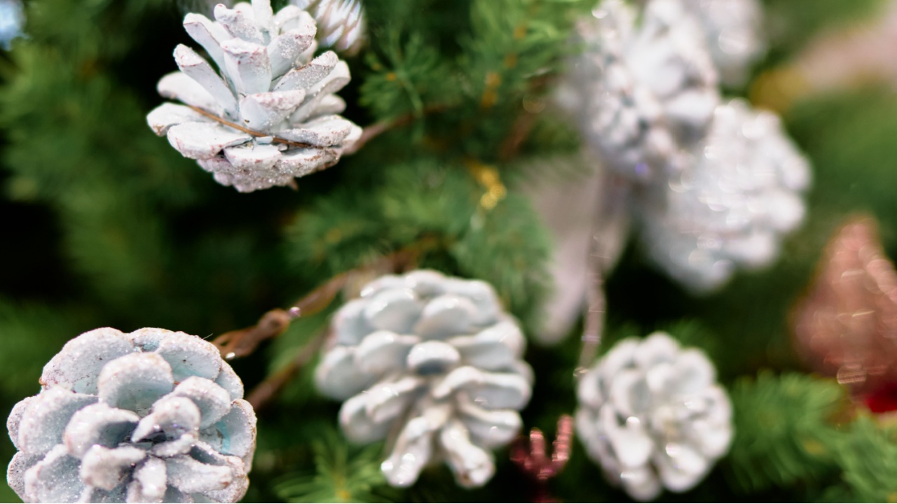 Close-up of frosted pine cones nestled among green evergreen branches. Snowy glitter highlights a festive mood, ideal for Christmas decor, winter scenery, or natural holiday textures.
