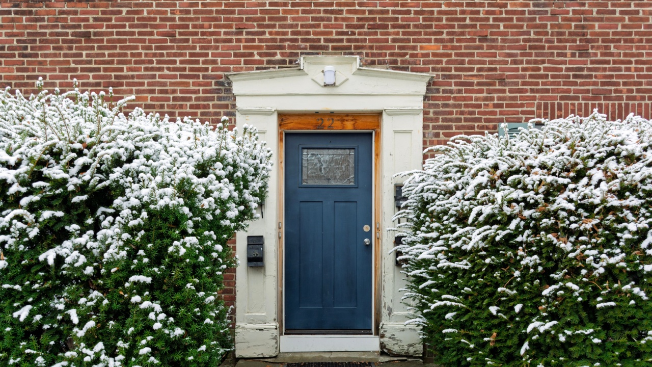 welcoming deep blue door in a red brick wall framed by snowy winter bushes in Boston, Massachusetts, USA