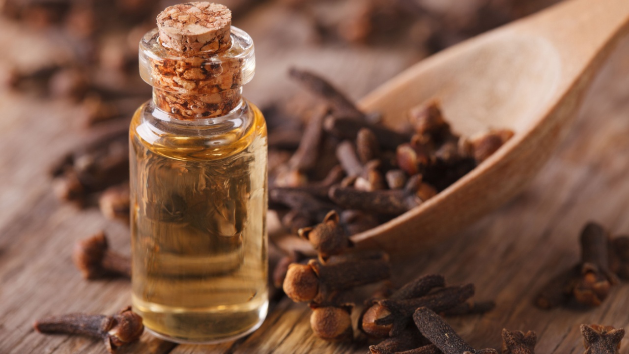 clove oil in a bottle of glass close-up on the table. horizontal 