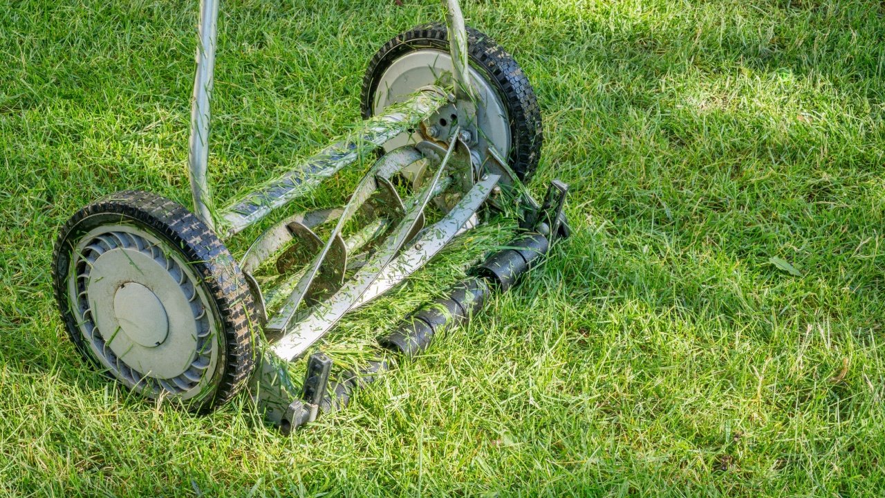 hand lawn mower close up with grass clips