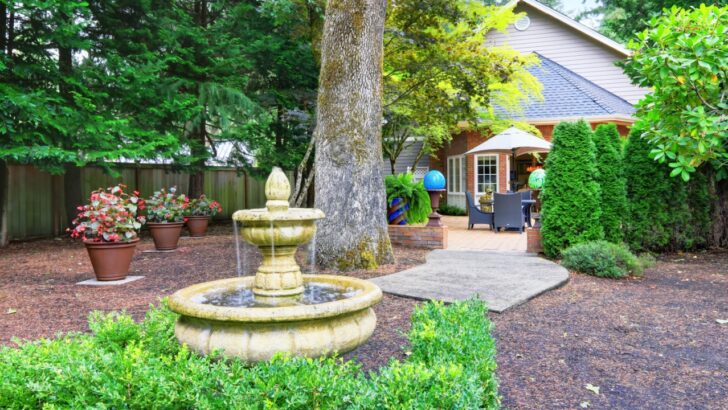 Theory vs Reality: 6 Backyard Ideas That Sound Cool But Usually Fail