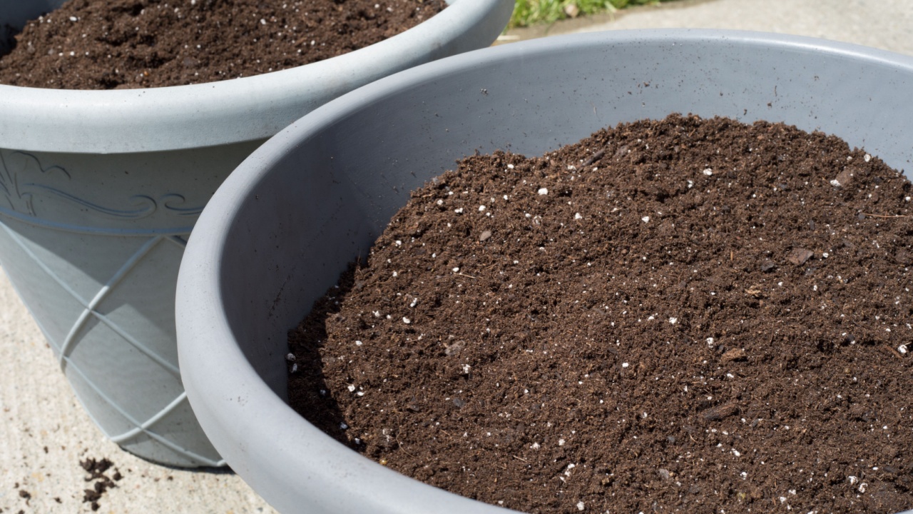potting soil in large gray pots