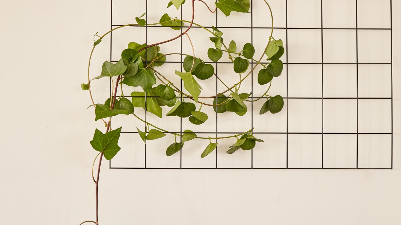 Stylish wire grid panel with potted plants and cactuses