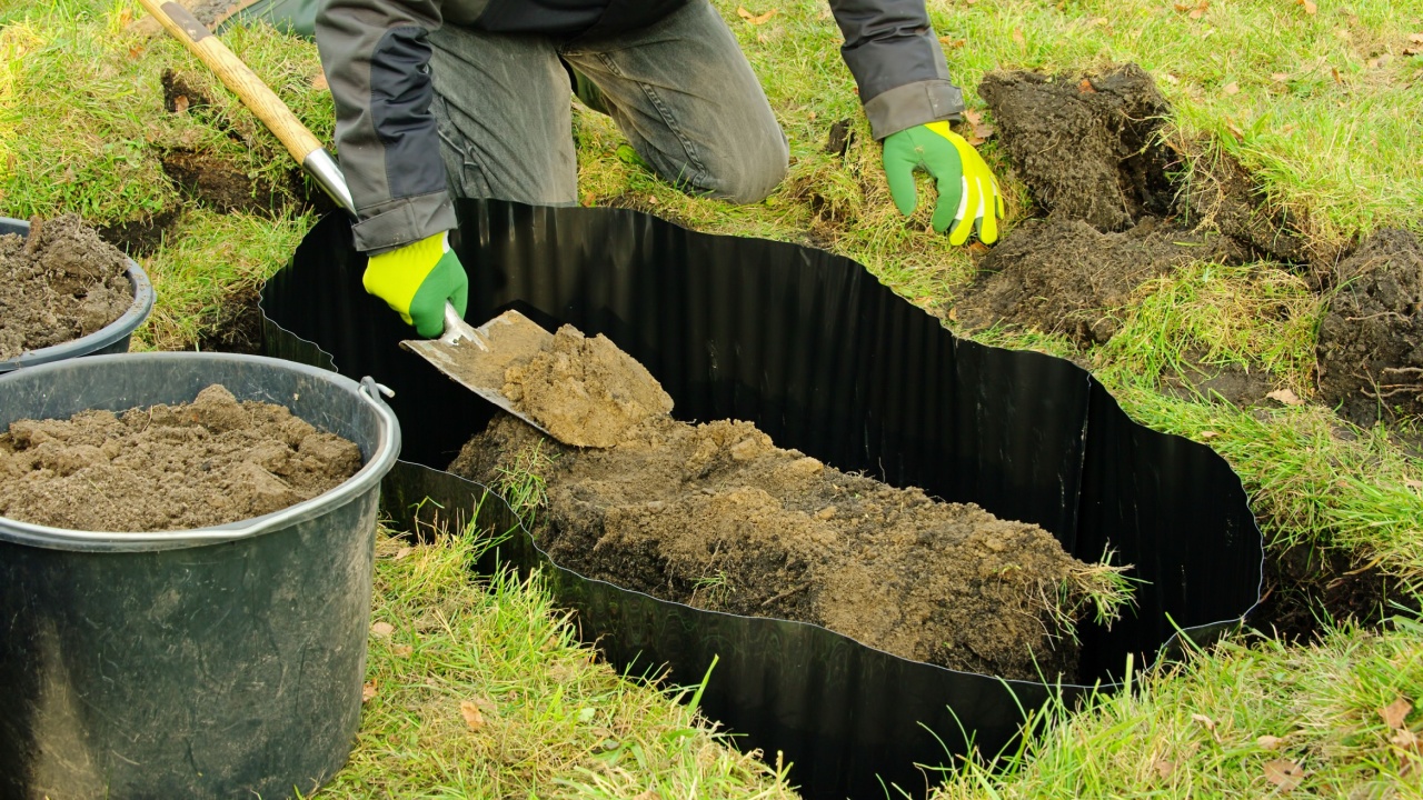 Tree. Inspired motivated person spending a day on watering flowers