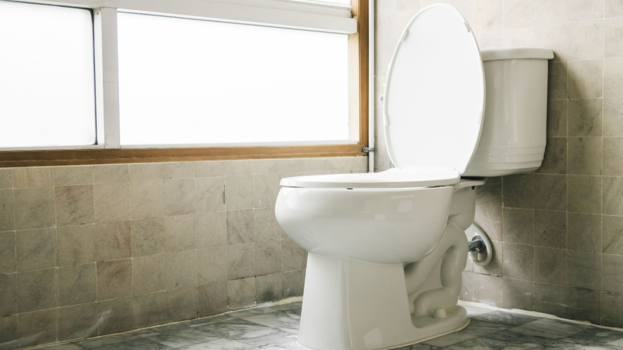 Toilet seat decoration in bathroom interior