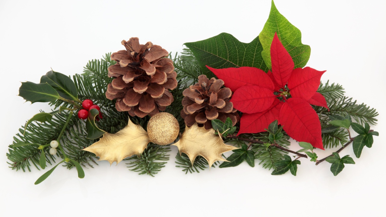 Christmas decoration of red poinsettia flower, mistletoe, ivy, gold holly and glitter bauble with spruce fir leaf sprigs and pine cones isolated over white background.