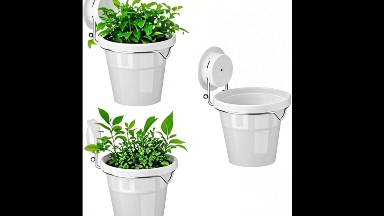 Window planter with suction cup holder