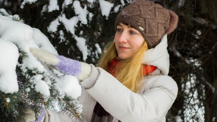 6 Unexpected Places to Forage in Winter