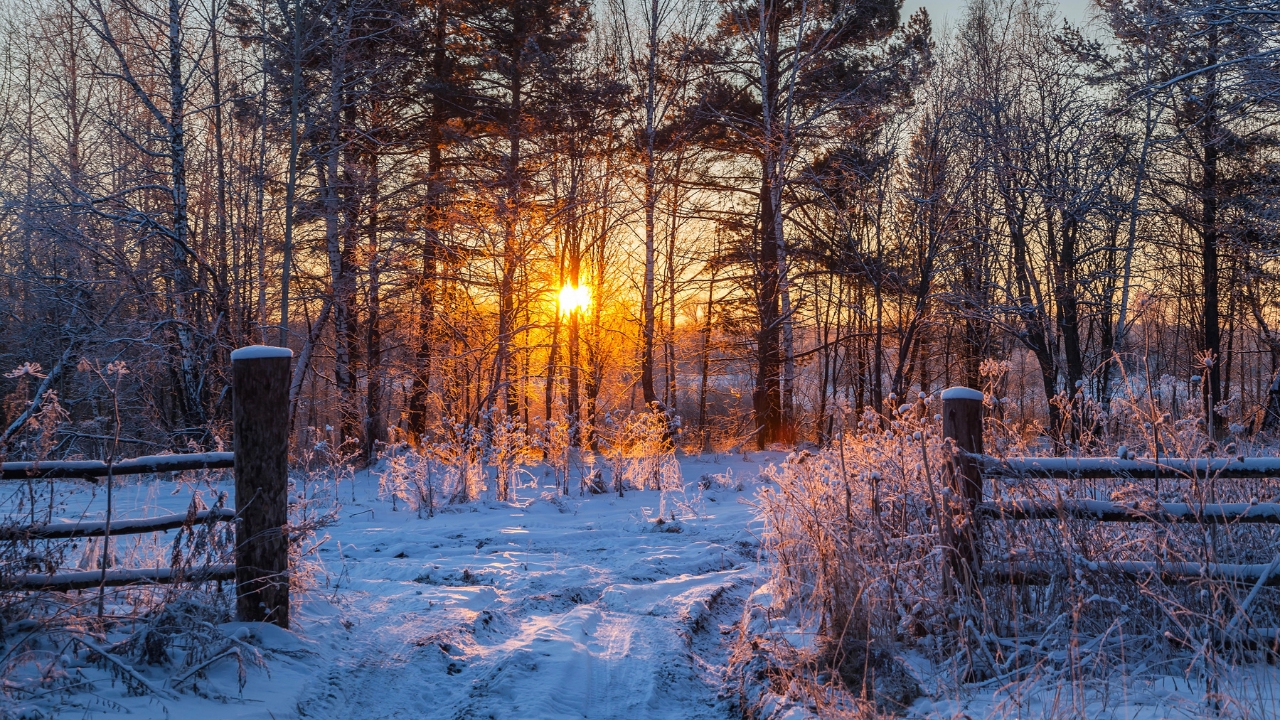 a winter sunrise