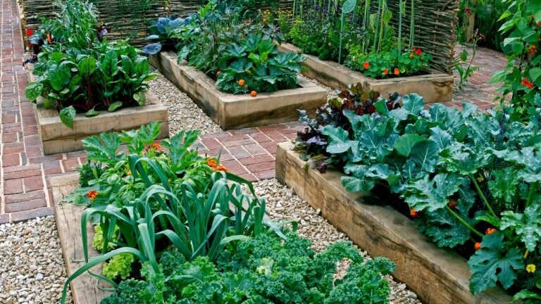 a beautiful garden with raised beds