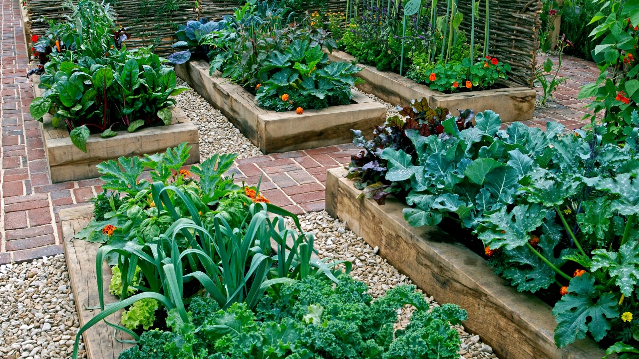 a beautiful garden with raised beds