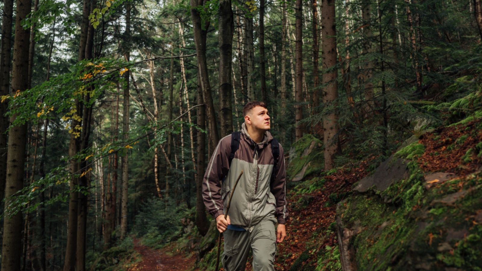 A handsome young man in casual clothes walks through the forest in the mountains with a serious face and looks away. Hiking trips alone.