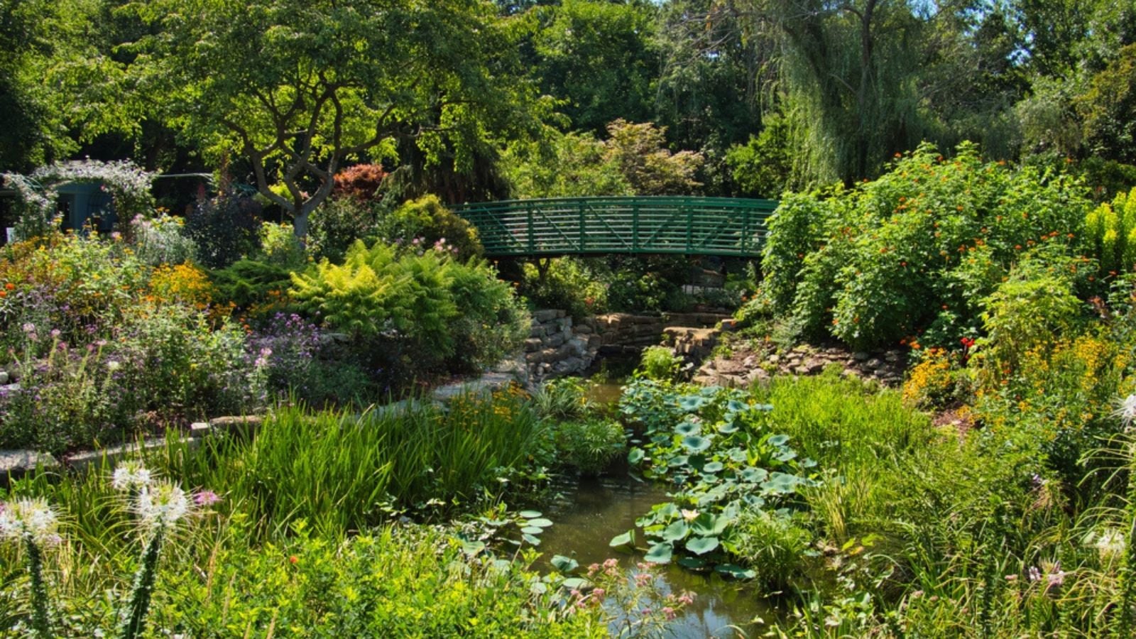 Green bridge in the middle of a flower garden in Overland Park Kansas