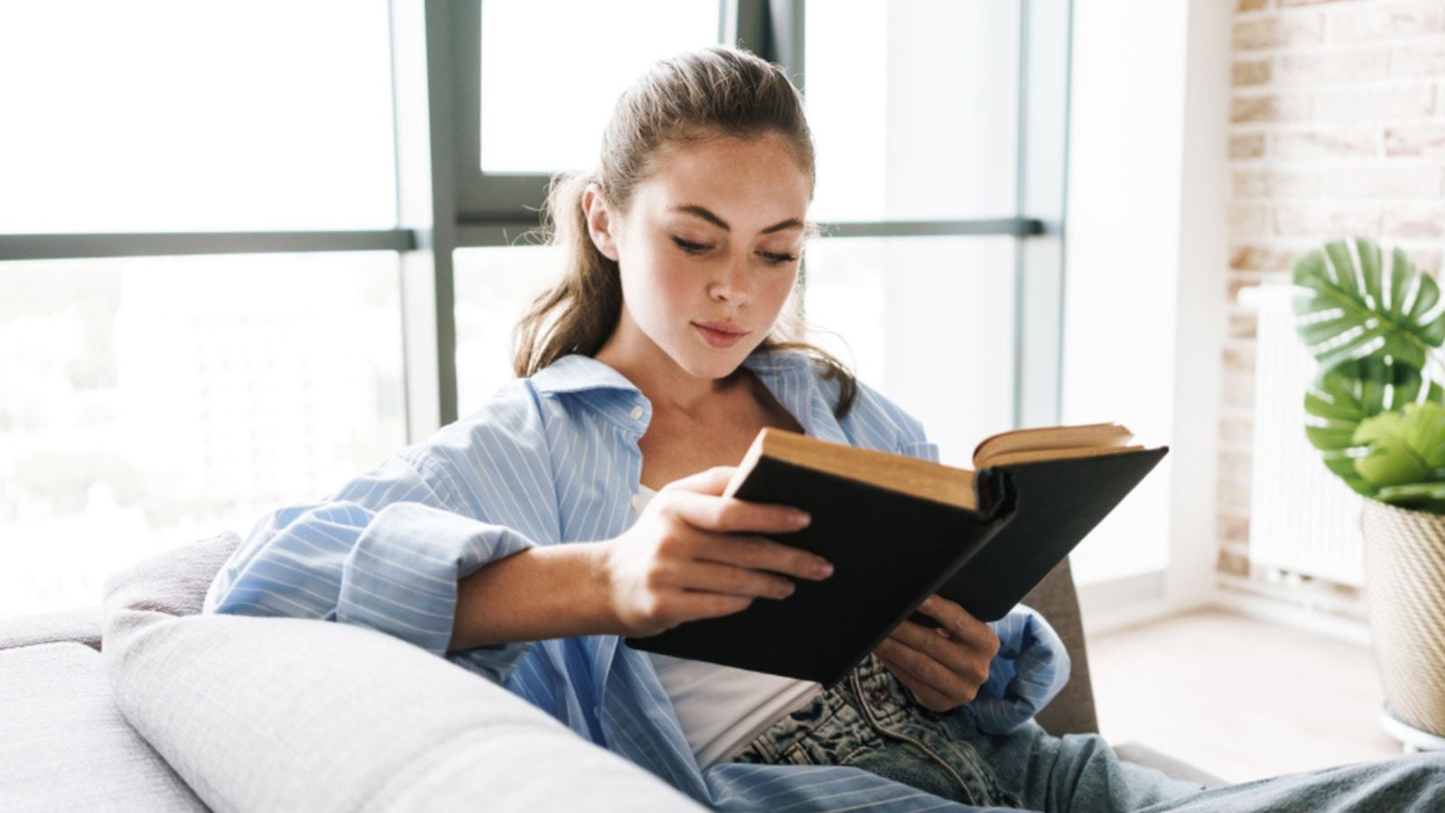 Image of a young concentrated girl indoors at home sitting on sofa while reading book
