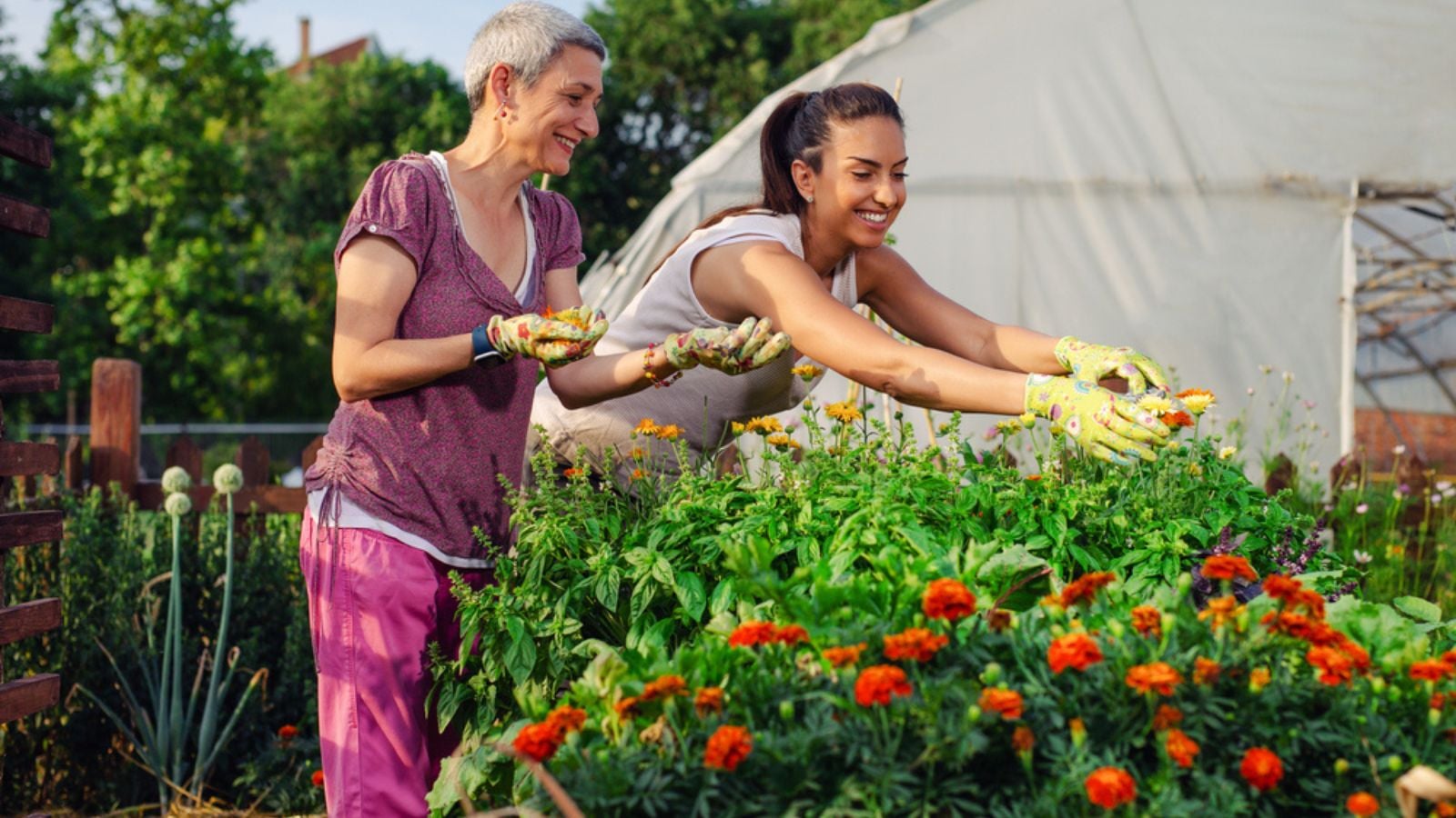 Mother and daughter gardening together. Gardening discovering and teaching.