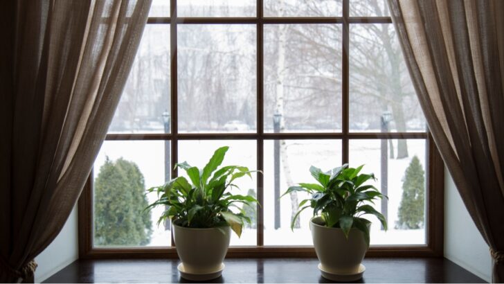 Top 3 Ways to Battle Window Condensation in Winter