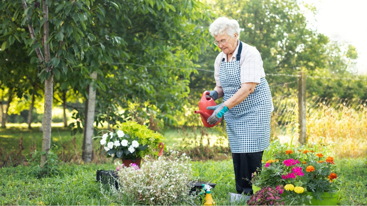 Full length of smiling old woman at the flower garden with watering can, looking at flowers