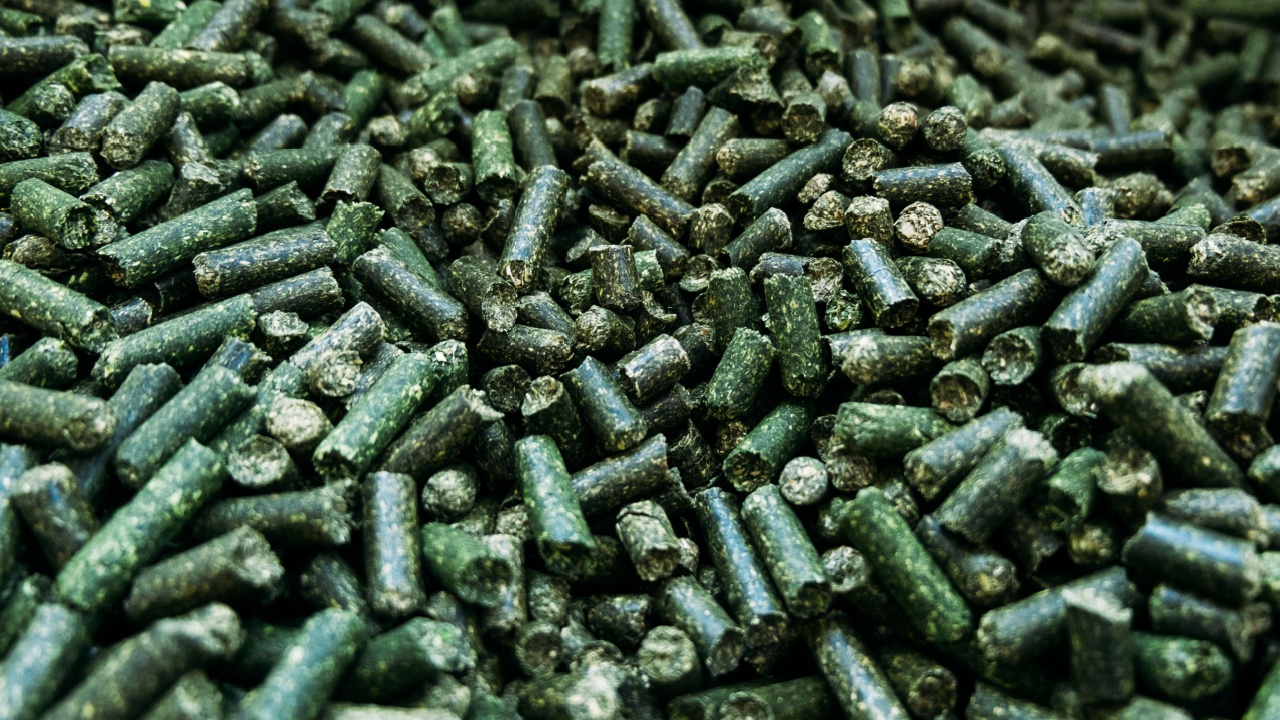 a large number of alfalfa green granules in a warehouse for the production of agricultural feed ready for packaging