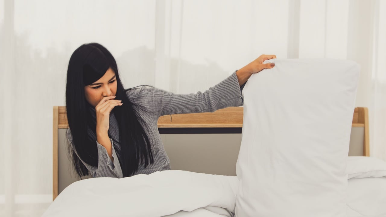 woman had a stinging nose from a dusty pillow in her bedroom.