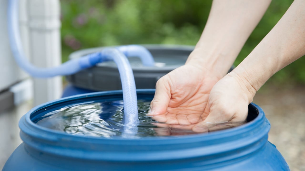 man touching water of rain tank
