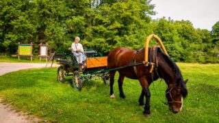 Tallinn, Estonia. June 10, 2021. An Amish horse and carriage travels on a rural road