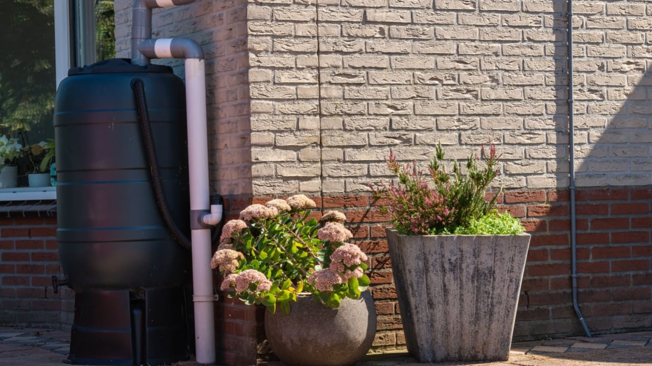 Pot plants and plastic rain barrel with overflow prevention system on facade of modern house